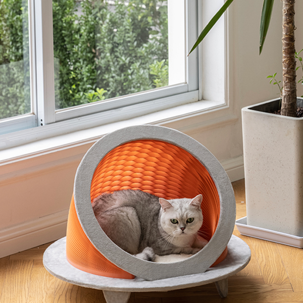 奢侈貓屋 2022時光機 - 限量版- Premium Cat House: Time Machine 可折疊 - 厚實 - 3色